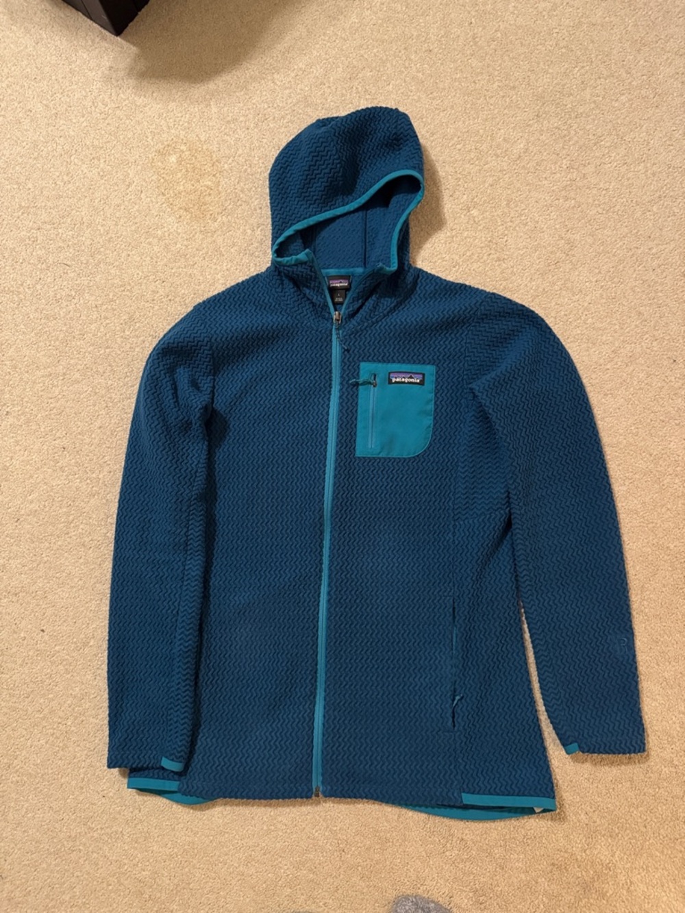 Patagonia Teal Hooded Full-Zip Fleece Jacket
